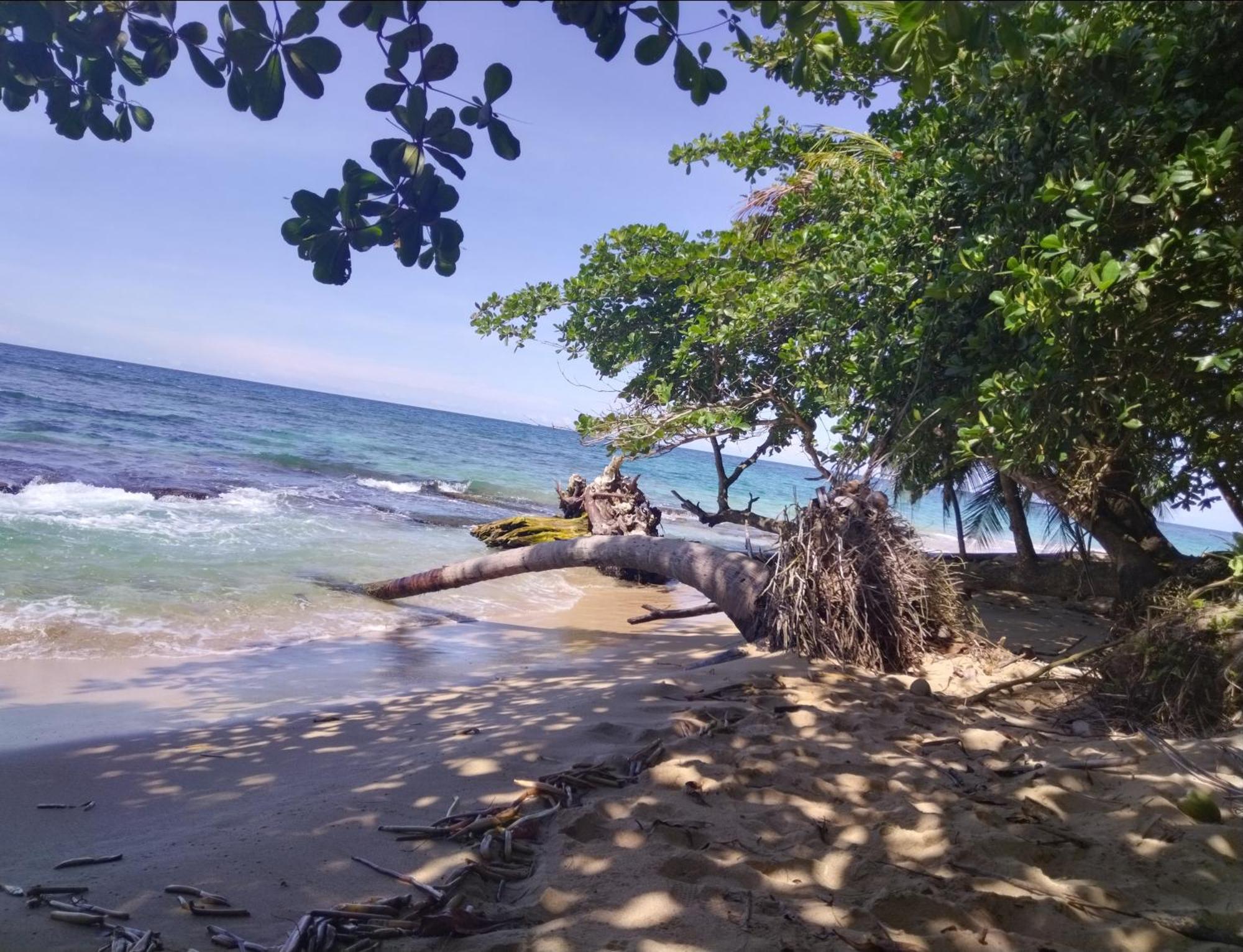 Serenity Houses Cahuita Dış mekan fotoğraf